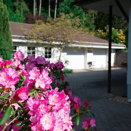 Karolína Villa *