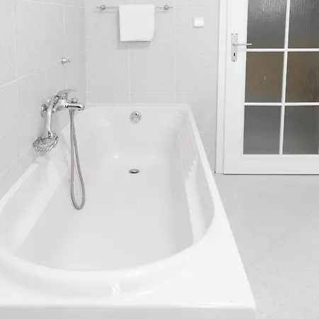 Karolina فيلة كافليتشكوف برود