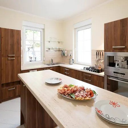 Karolina فيلة كافليتشكوف برود