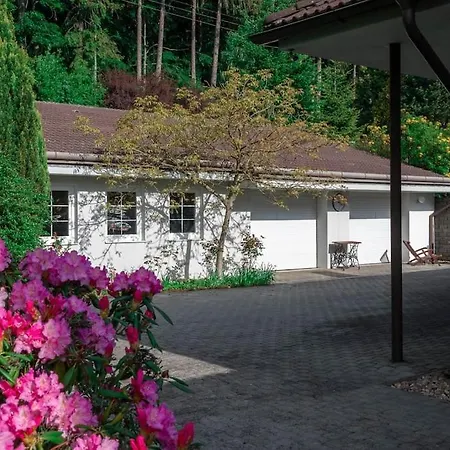 Karolína Villa *