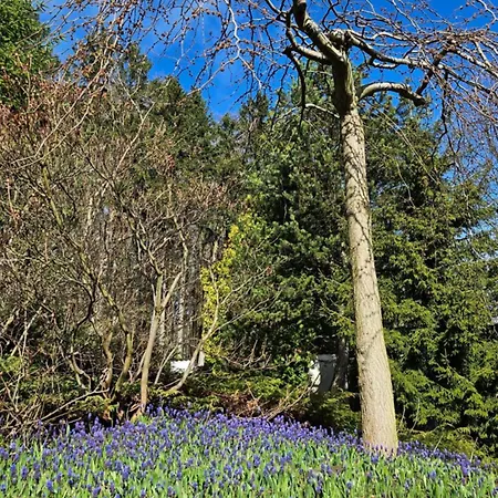 فيلة Karolina كافليتشكوف برود