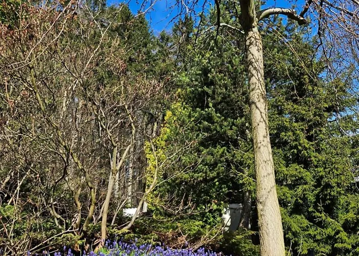 Villa Karolina Havlickuv Brod